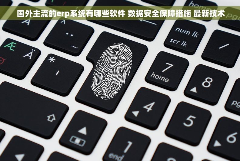 国外主流的erp系统有哪些软件 数据安全保障措施 最新技术 国外主流的erp系统有哪些软件 数据安全保障措施 最新技术