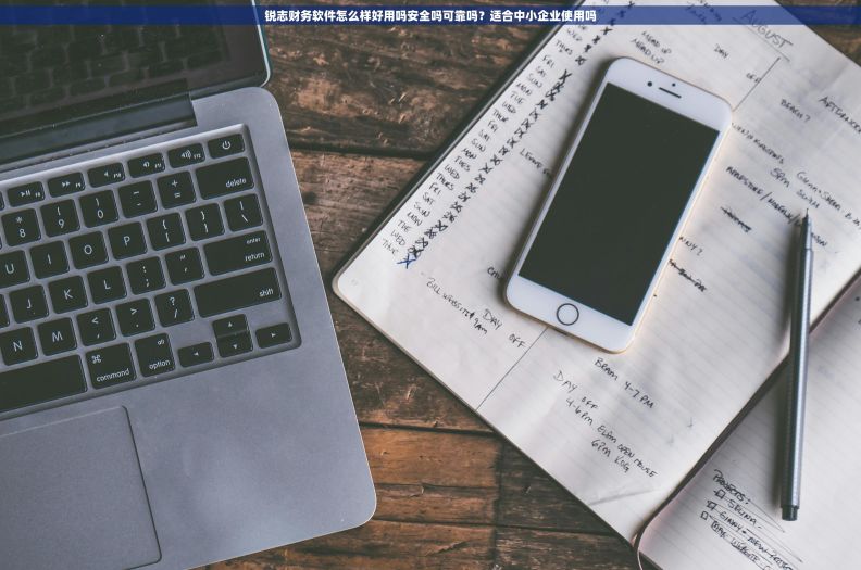 锐志财务软件怎么样好用吗安全吗可靠吗?适合中小企业使用吗 锐志财务软件怎么样好用吗安全吗可靠吗?适合中小企业使用吗