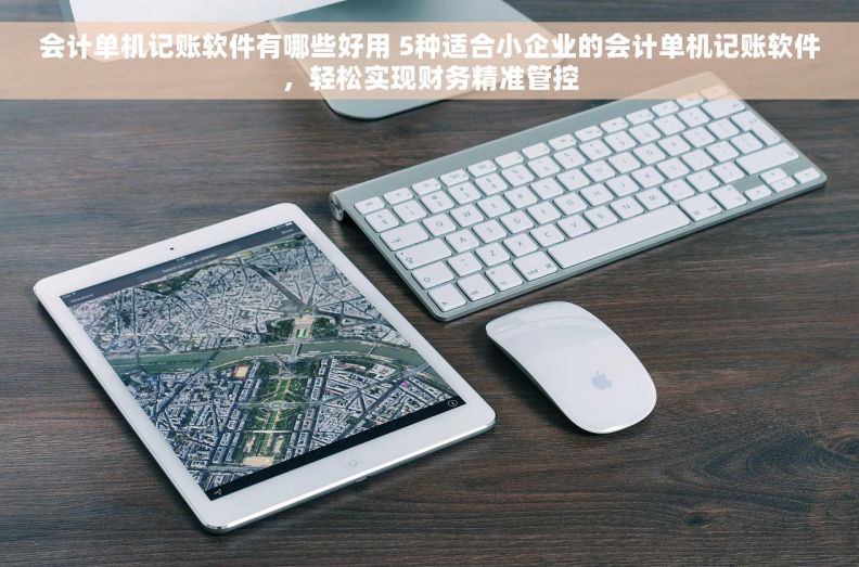 会计单机记账软件有哪些好用 5种适合小企业的会计单机记账软件,轻松实现财务精准管控 会计单机记账软件有哪些好用 5种适合小企业的会计单机记账软件,轻松实现财务精准管控