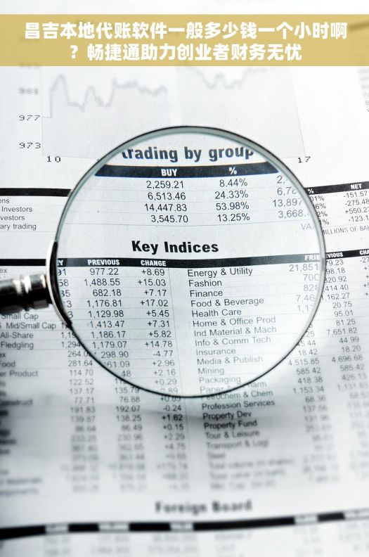 昌吉本地代账软件一般多少钱一个小时啊？畅捷通助力创业者财务无忧