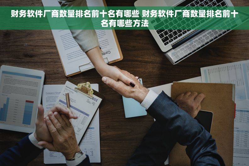 财务软件厂商数量排名前十名有哪些 财务软件厂商数量排名前十名有哪些方法