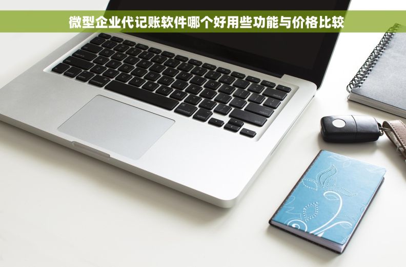   微型企业代记账软件哪个好用些功能与价格比较
