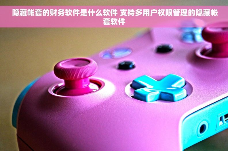  隐藏帐套的财务软件是什么软件 支持多用户权限管理的隐藏帐套软件