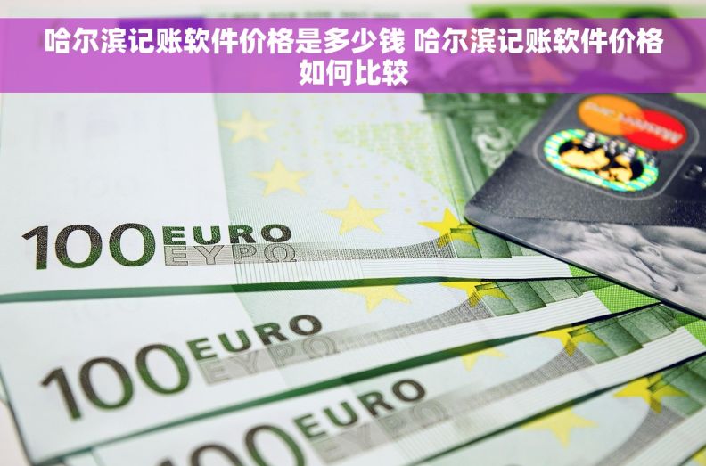 哈尔滨记账软件价格是多少钱 哈尔滨记账软件价格如何比较