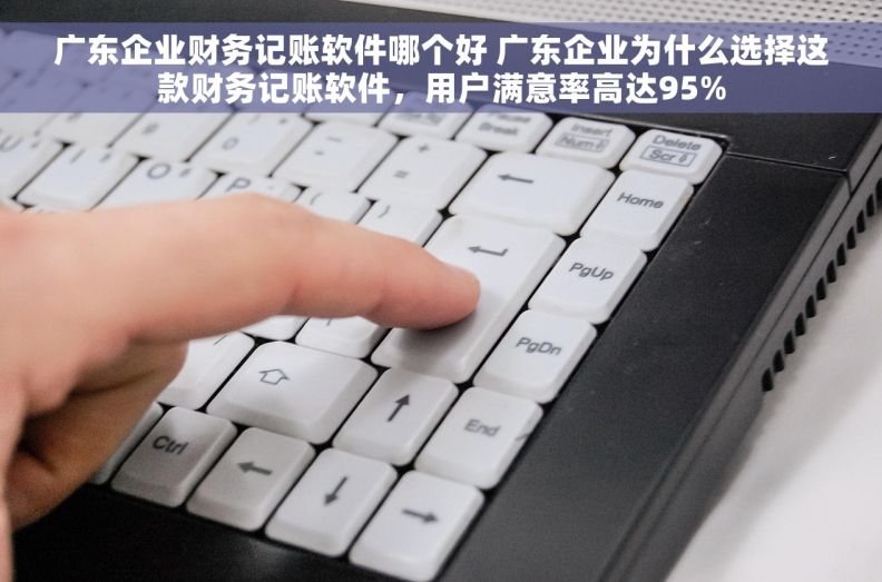 广东企业财务记账软件哪个好 广东企业为什么选择这款财务记账软件,用户满意率高达95% 广东企业财务记账软件哪个好 广东企业为什么选择这款财务记账软件,用户满意率高达95%