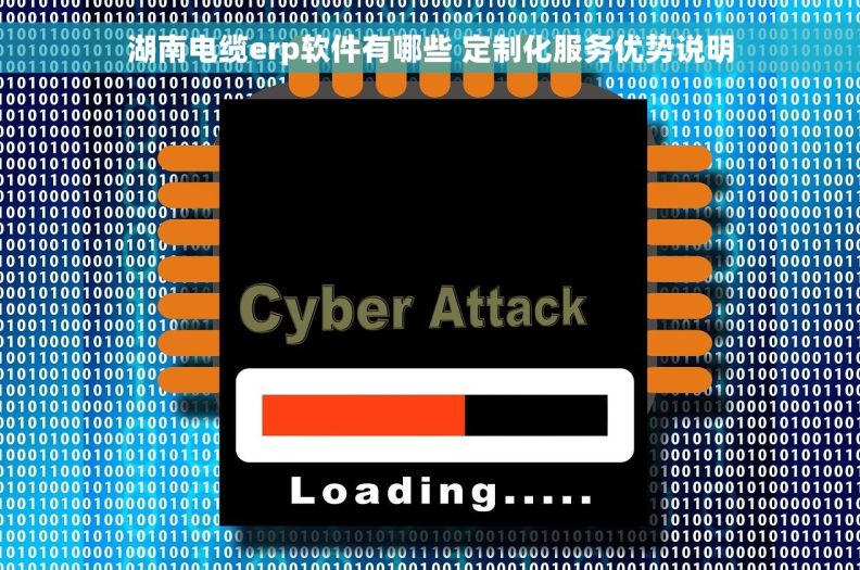 湖南电缆erp软件有哪些 定制化服务优势说明