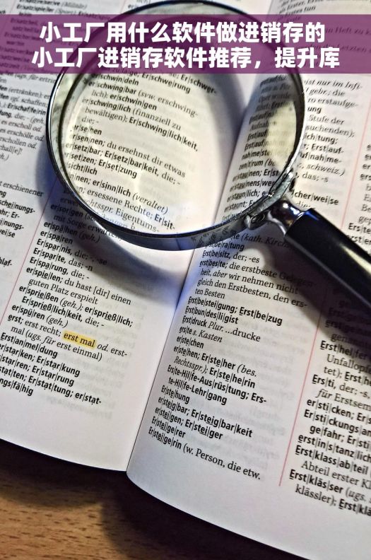 小工厂用什么软件做进销存的 小工厂进销存软件推荐,提升库存管理效率的必备工具 小工厂用什么软件做进销存的 小工厂进销存软件推荐,提升库存管理效率的必备工具