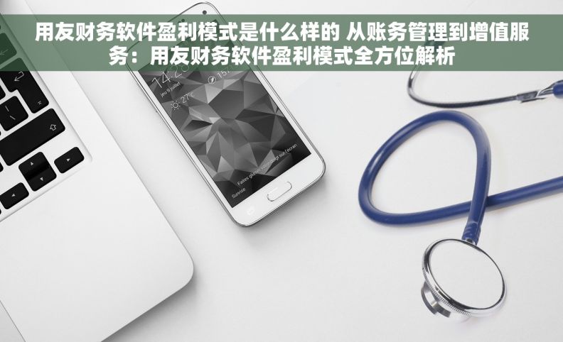 用友财务软件盈利模式是什么样的 从账务管理到增值服务：用友财务软件盈利模式全方位解析