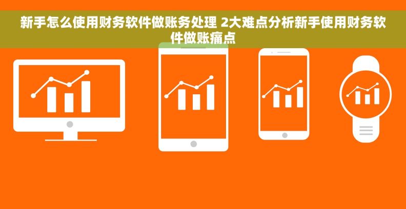 新手怎么使用财务软件做账务处理 2大难点分析新手使用财务软件做账痛点