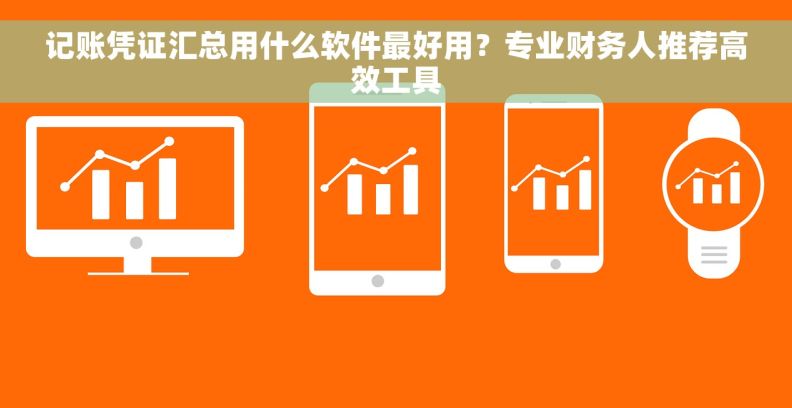 记账凭证汇总用什么软件最好用？专业财务人推荐高效工具