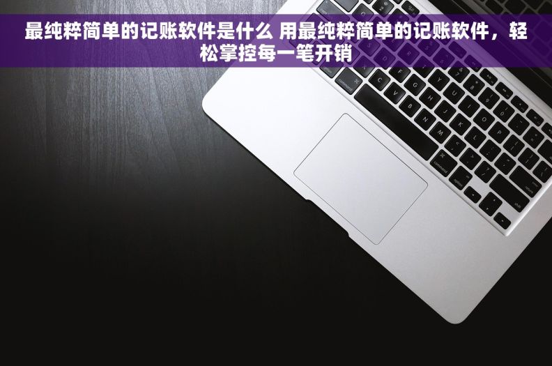 最纯粹简单的记账软件是什么 用最纯粹简单的记账软件，轻松掌控每一笔开销