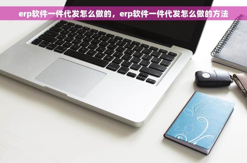 erp软件一件代发怎么做的，erp软件一件代发怎么做的方法