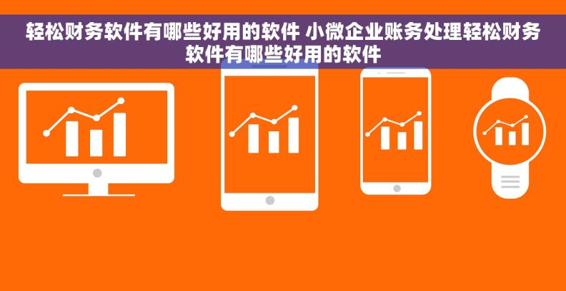 轻松财务软件有哪些好用的软件 小微企业账务处理轻松财务软件有哪些好用的软件