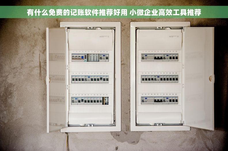 有什么免费的记账软件推荐好用 小微企业高效工具推荐
